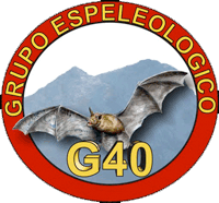 logo g40