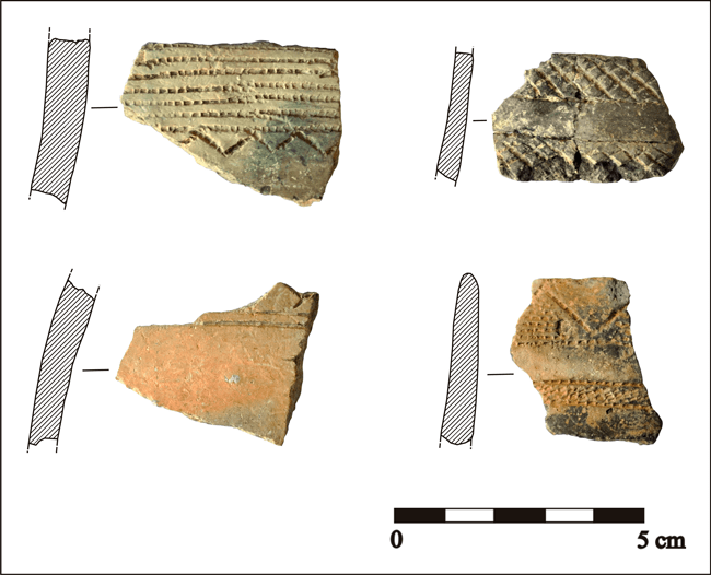 Villavieja Cerámicas campaniformes con decoración impresa e incisa